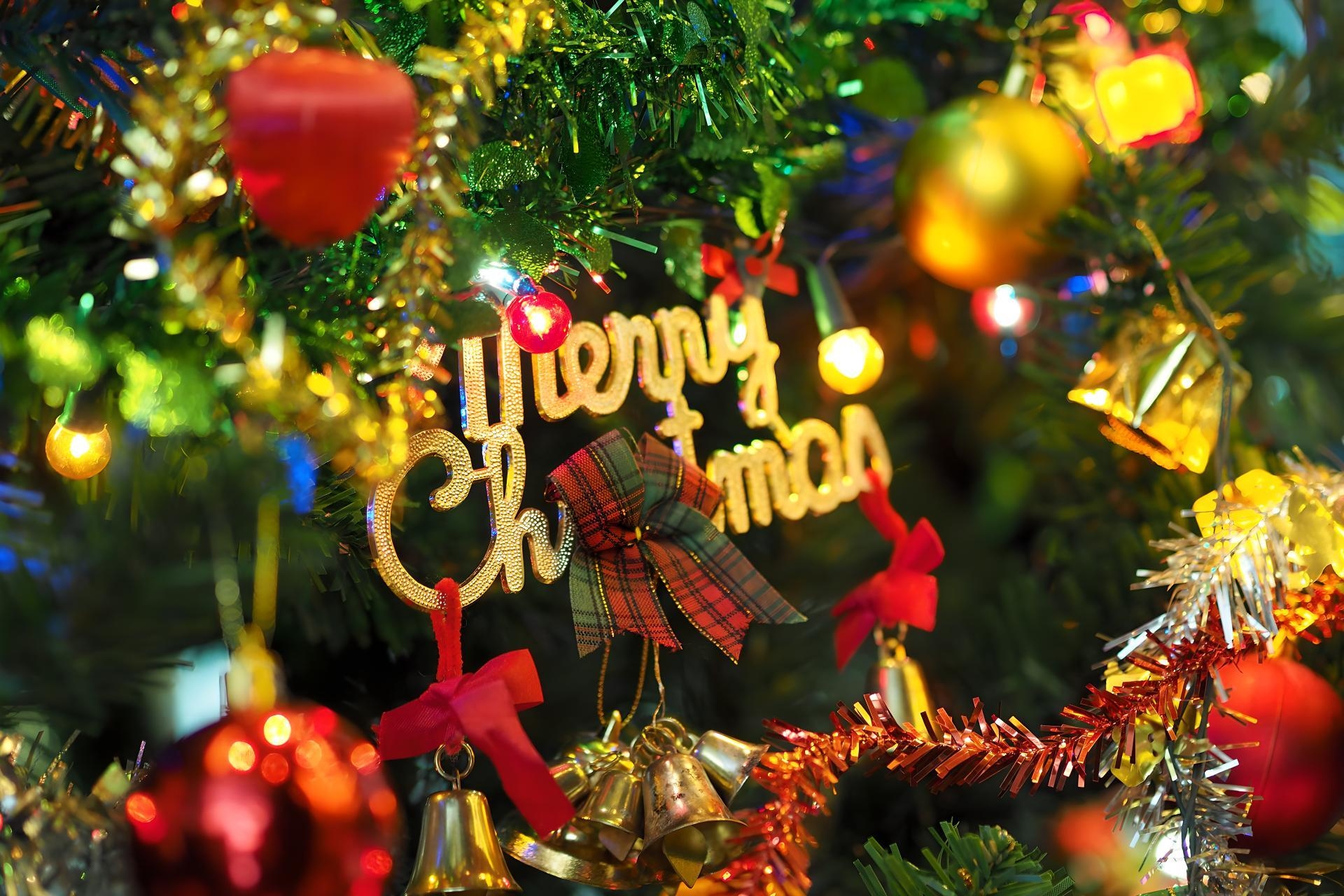 Merry Christmas